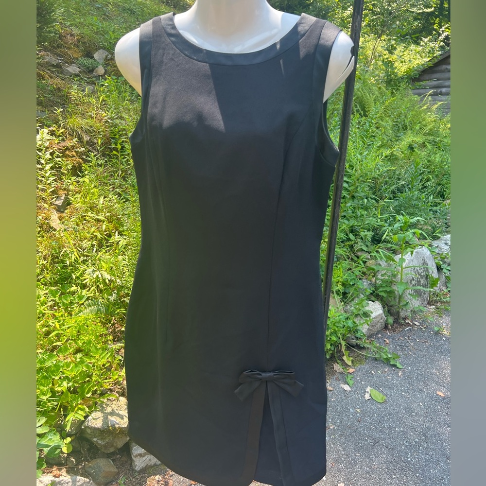 Ann Taylor Dress